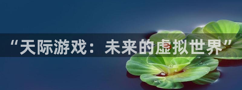 星欧娱乐网页登录入口官网：“天际游戏：未来的虚拟世界”