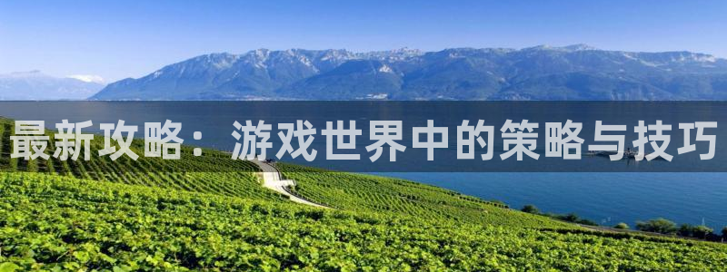 星欧娱乐平台：最新攻略：游戏世界中的策略与技巧