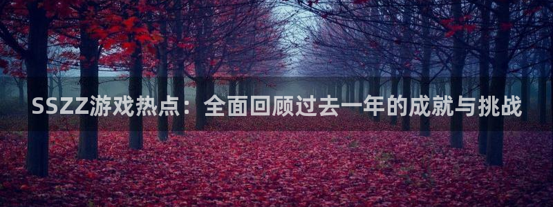 星欧娱乐下载链接：SSZZ游戏热点：全面回顾过去一年的成就与