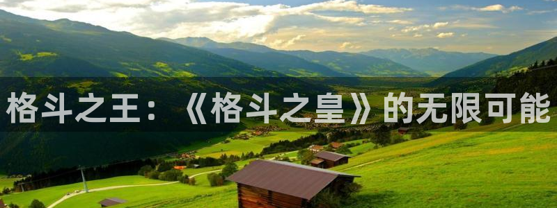 星欧娱乐注册官方登录app：格斗之王：《格斗之皇》的无限可能