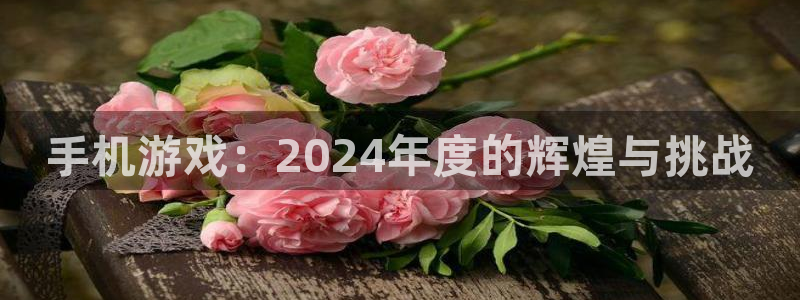 星欧娱乐下载：手机游戏：2024年度的辉煌与挑战