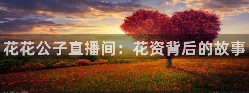 球友体育在线直播观看