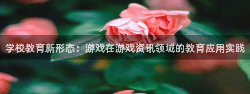 星欧娱乐网页登录入口下载：学校教育新形态：游戏在游戏资讯领域