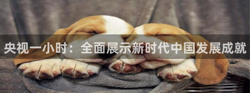 球友直播：央视一小时：全面展示新时代中国发展成就