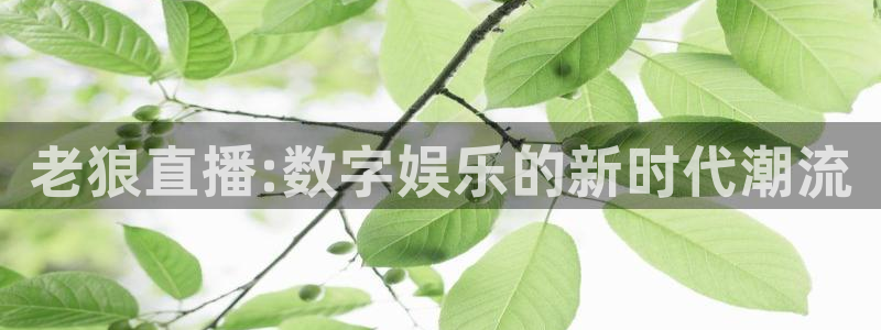 球友体育免费看nba：老狼直播:数字娱乐的新时代潮流