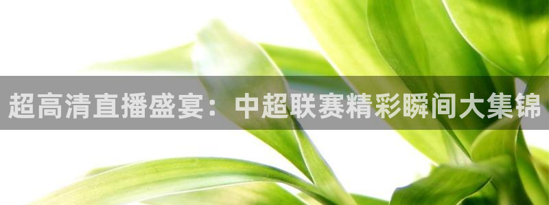 球友体育app免费看球：超高清直播盛宴：中超联赛精彩瞬间大集锦