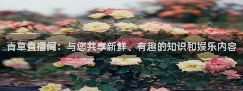 球友体育直播在线观看：青草直播间：与您共享新鲜、有趣的知识和娱乐内容