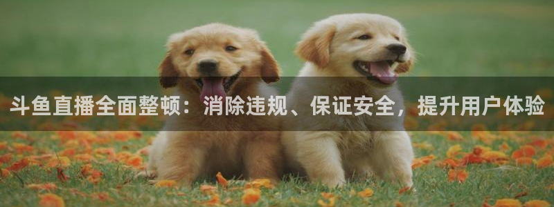 球友直播官网：斗鱼直播全面整顿：消除违规、保证安全，提升用户体验