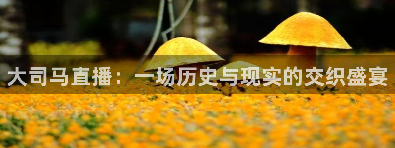 球友体育在线直播观看：大司马直播：一场历史与现实的交织盛宴